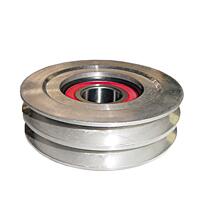 POLIA ESTICADOR CORREIA