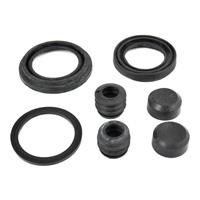 REPARO PINCA FREIO DISCO