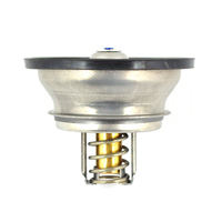 VALVULA TERMOSTATICA